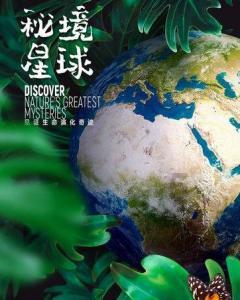 燃烧吧大脑免广告最新版